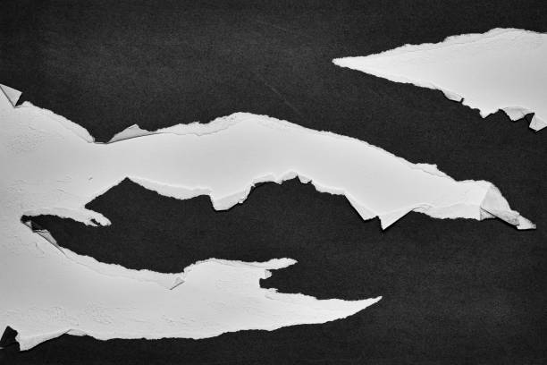 istock Black and White Torn Paper Collage Style, Ripped Paper Effect, Texture Abstract Background, Copy Space for Text. 1412882173