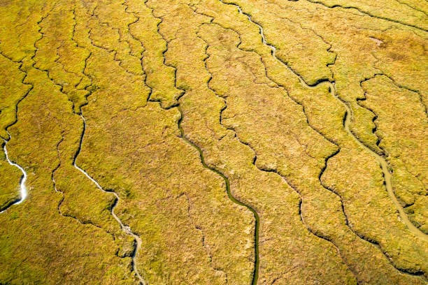 Aerial photo from a drone of Bradwell-on-Sea Salt Marshes on the Dengie Peninsula, Essex, UK.