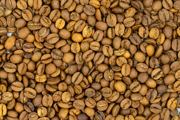 Coffee beans background. Close up of roasted coffee beans