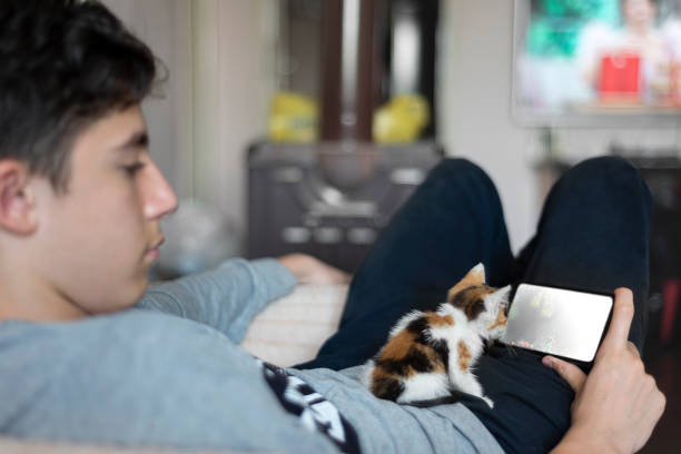istock The boy in high school is playing while the kitten on his lap watches the screen. 1412888146