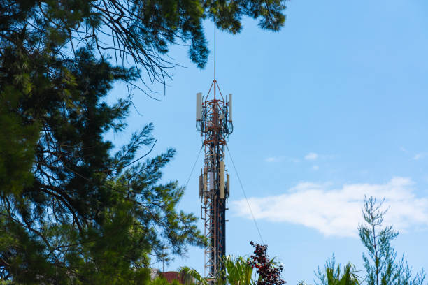 Comm Tree Tower 1,100+ Tree Cell Tower Stock Photos, Pictures & Royalty-Free Images ...