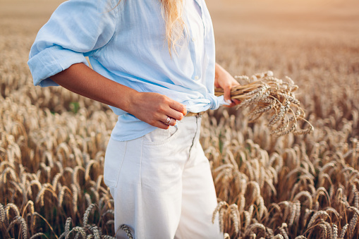 Young woman walking in summer field picking wheat wearing blue linen shirt and white jeans shirts. Natural stylish clothes. Comfortable fabric