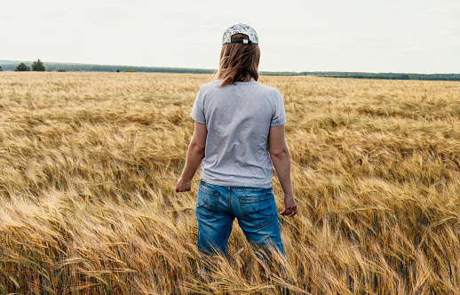 Rear view woman in jeans among yellow dry cereal wheat field agriculture and grain harvest Mockup friendly