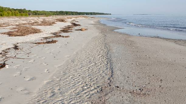 istock Shoreline at Fish Haul Beach in the Morning 1412893875