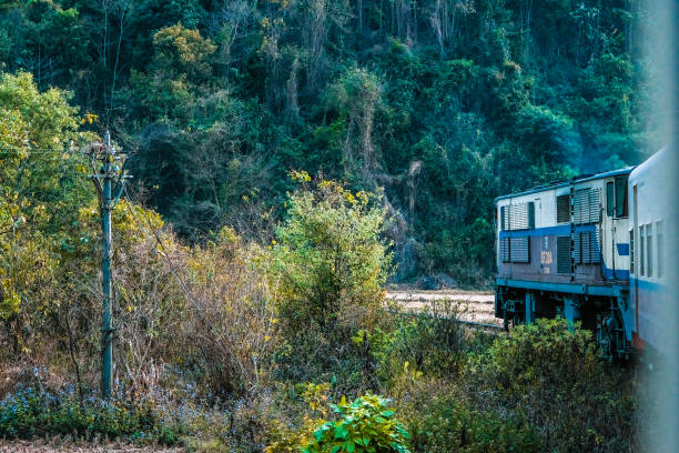 The train is moving on the curved road. The front of the train can be seen. There are bushes and trees around. Virgin nature