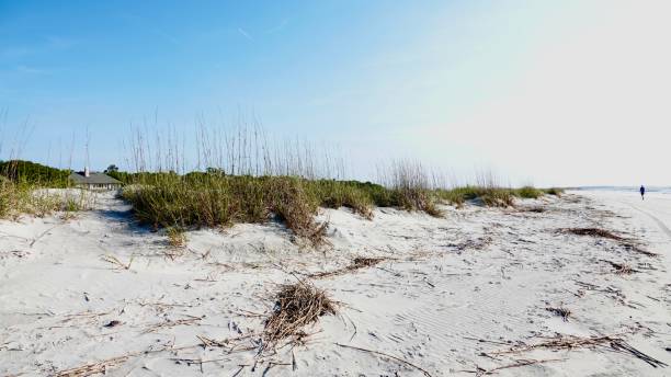 istock Sand Dunes in Hilton Head 1412896681