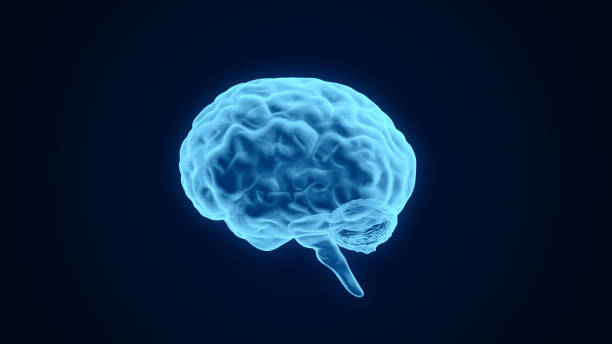 istock Human brain transparent scan 3D rendering, futuristic digital mind neural network intelligence concept, AI technology 1412897740