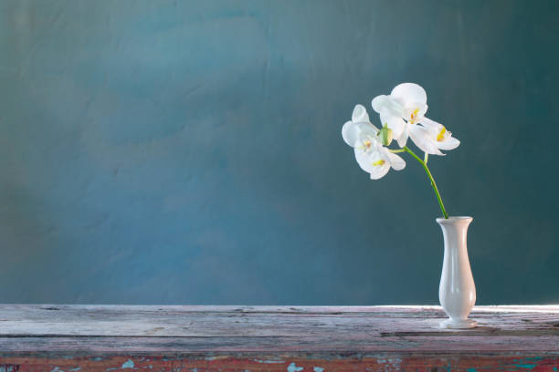 istock orchid flowers in vase on green background 1412903337