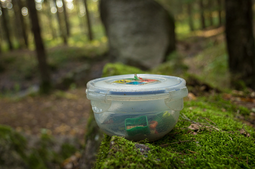 geocaching container in the woods