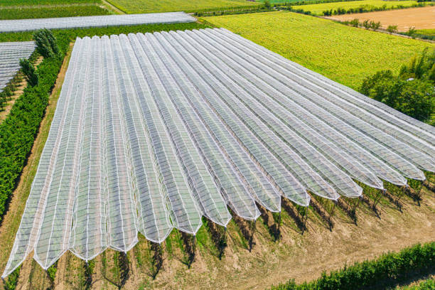istock Hail net over apple and pears trees from the air - background 1412907770