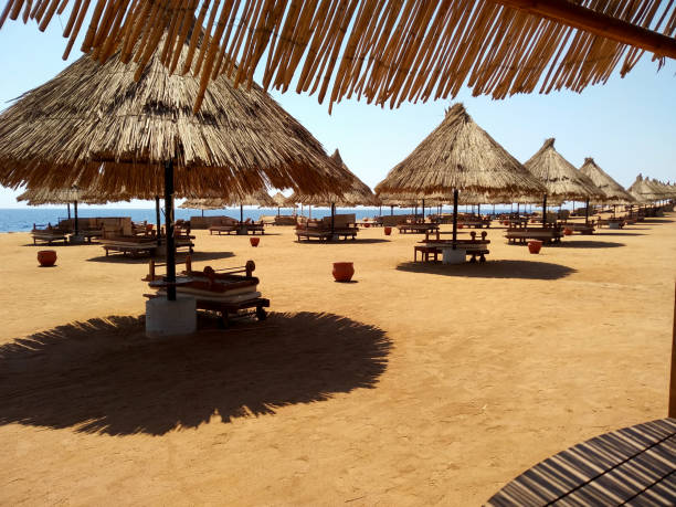 istock Beautiful view of the deserted beach 1412909367