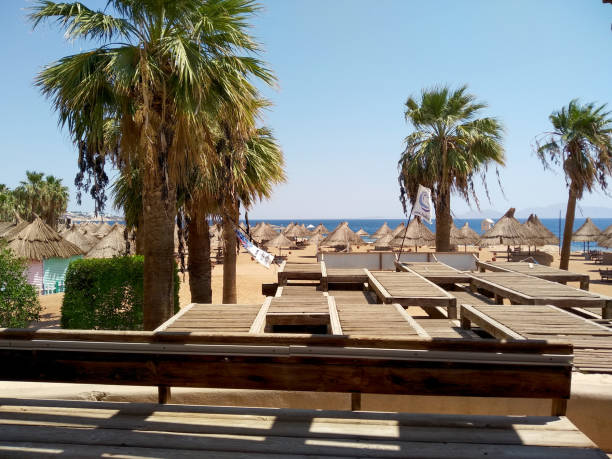 Beautiful beach with palm trees and umbrellas. View of an Egyptian resort on the Red Sea coast. Beautiful beach and sea view of resort. Beautiful view of the tropical resort.