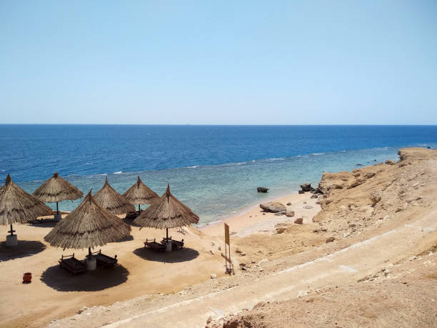 istock Beautiful tropical beach in the desert 1412909745
