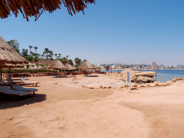 istock Beautiful view of the deserted beach 1412909927