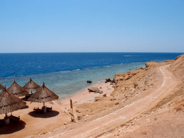 istock Beautiful tropical beach in the desert 1412909996