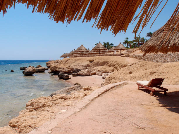 istock Beautiful tropical beach in the desert 1412910048