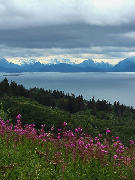 istock Scenic view outside Homer, Alaska 1412911133