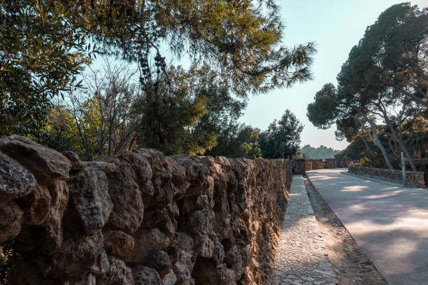 Stone columns and trees in Park Guell in Barcelona, Spain