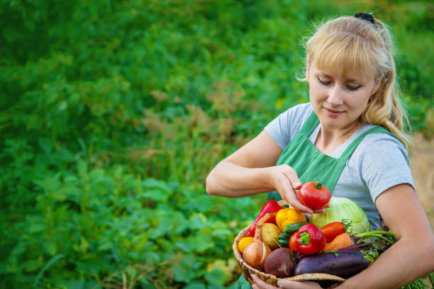 istock Smiling Farmer Holding Tomato With Basket 1412913234