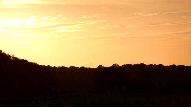 istock Beautiful Bright Yellow and Orange Sunset 1412914722