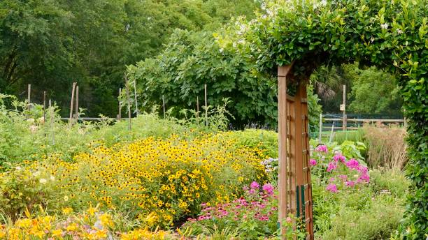 istock Blooming Flower Garden and Arbor 1412919551
