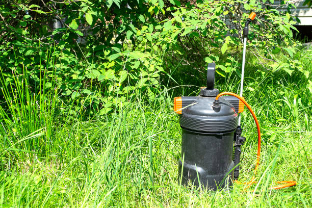 istock Garden sprayer to protect plants from pests. 1412920866