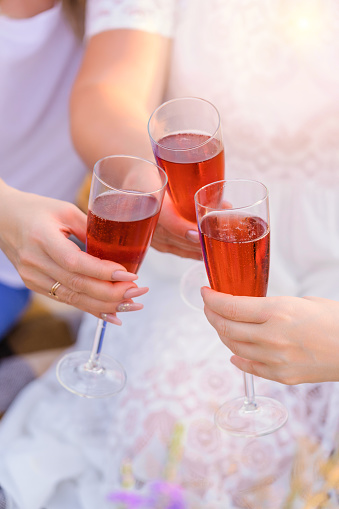 Three girls clink glasses of sparkling wine at a picnic