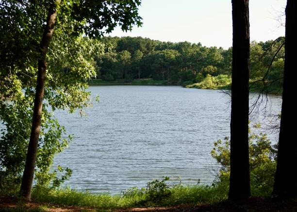 istock Lake View at Jarvis Creek Park 1412921944
