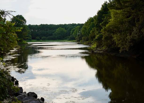 istock Lake View at Jarvis Creek Park 1412921960