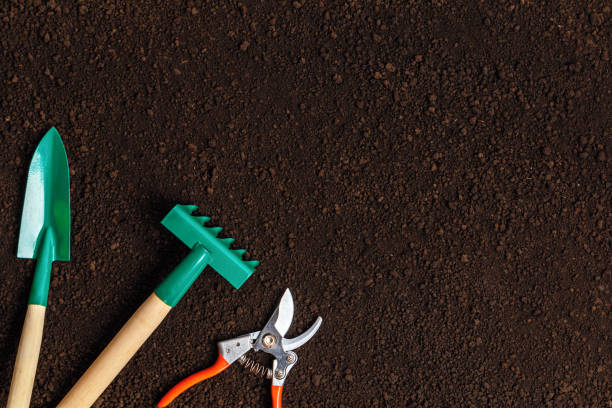 istock Garden tools on the soil. Rake shovel secateurs. 1412921969