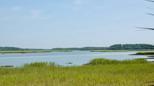 istock Scenic Water View at Pinckney Island 1412922837