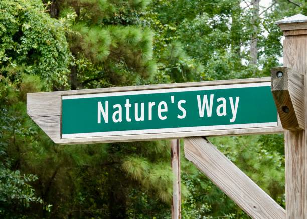 istock Nature’s Way Street Sign 1412924346