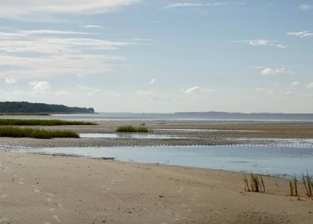 istock Beauty at the Beach 1412925619