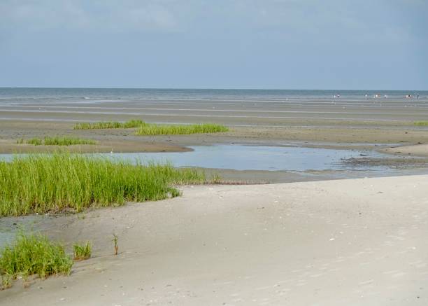 istock Coastal Beauty in Hilton Head 1412925626