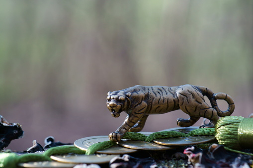 Metal tiger figurine with Chinese Feng Shui coins. An amulet that attracts good luck.