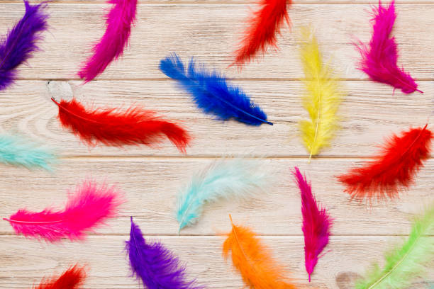 istock Close up to bright colorful feathers background. Colored feather background, top view 1412926040