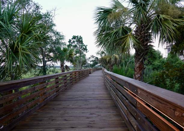 istock Wooden Boardwalk in Hilton Head 1412926885