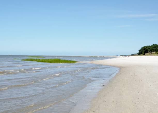 istock Fish Haul Beach Coastline 1412927207