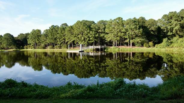 istock Stunning Scenic View at Jarvis Creek Park 1412927342