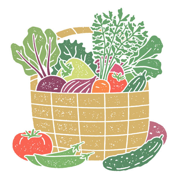 lokalne produkty w koszu z uchwytem - radish vegetable farmers market gardening stock illustrations