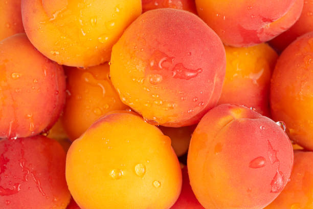 Fresh apricot fruits background. Top view. High quality photo