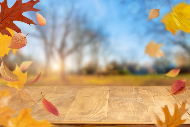 istock Autumn background with flying orange leaves. Copy space 1412931525