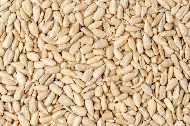 istock Peeled sunflower seeds background. Top view, overhead. 1412931581