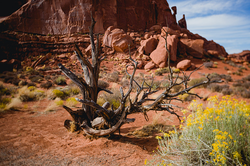Images of the rocks and geology at Arches National Park in Utah, Southwest USA