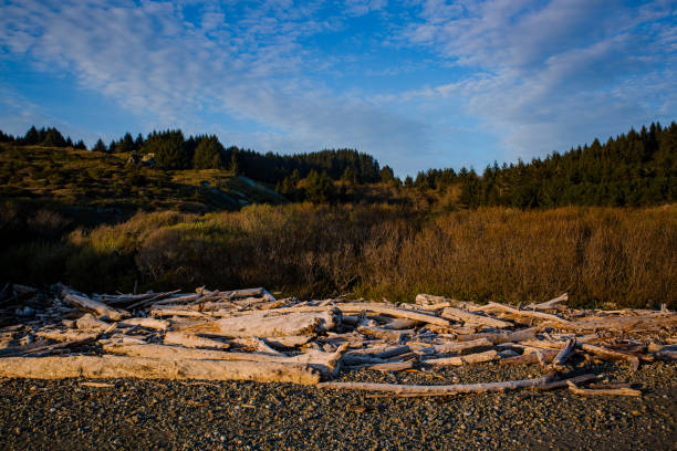 The beauty of the southern Oregon Coast in the Pacific Northwest. Photographed near Brookings Oregon along the Pacific Ocean.