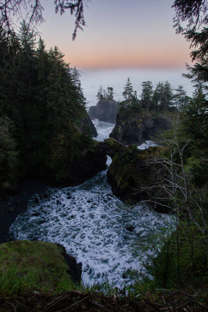 istock Beautiful Oregon Coast on the Pacific Ocean 1412932569