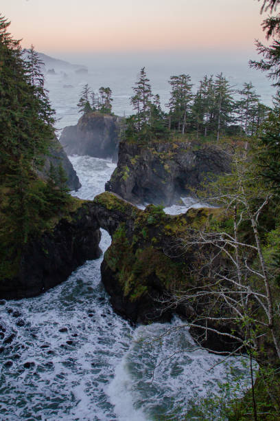 istock Beautiful Oregon Coast on the Pacific Ocean 1412932582