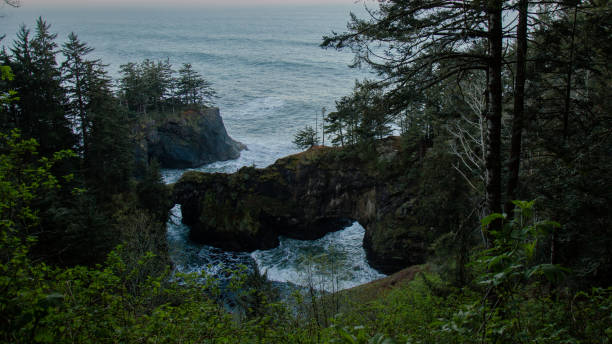 istock Beautiful Oregon Coast on the Pacific Ocean 1412932586