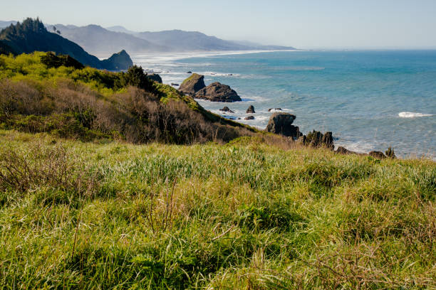 istock Beautiful Oregon Coast on the Pacific Ocean 1412932677