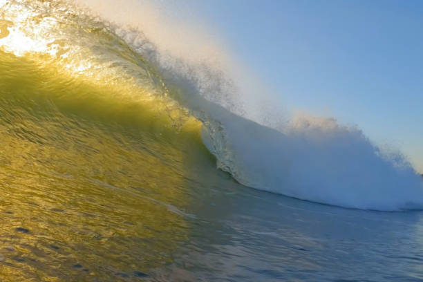 Beautiful Wave in Costa Rica